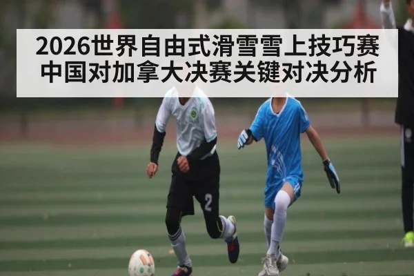 2026世界自由式滑雪雪上技巧赛中国对加拿大决赛关键对决分析